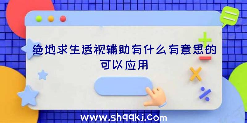 绝地求生透视辅助有什么有意思的可以应用