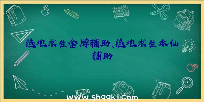 绝地求生金牌辅助、绝地求生水仙辅助