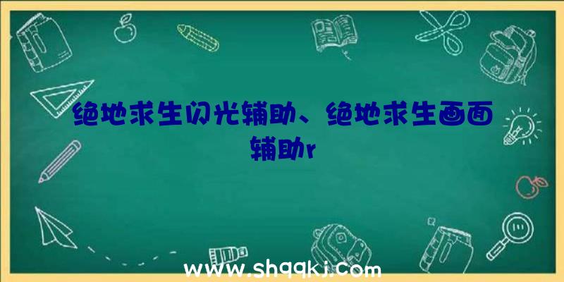 绝地求生闪光辅助、绝地求生画面辅助r