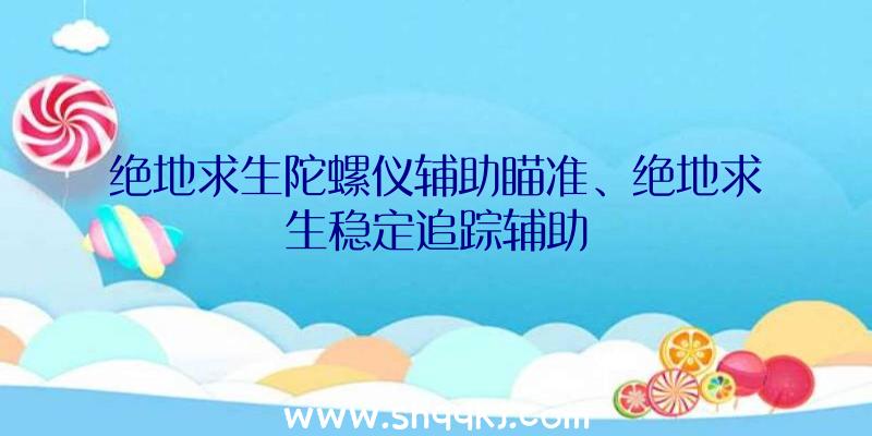 绝地求生陀螺仪辅助瞄准、绝地求生稳定追踪辅助