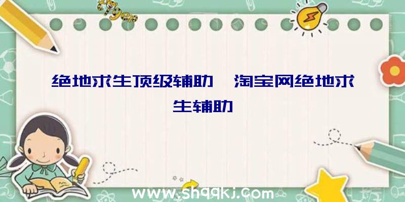 绝地求生顶级辅助、淘宝网绝地求生辅助