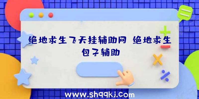 绝地求生飞天挂辅助网、绝地求生包子辅助