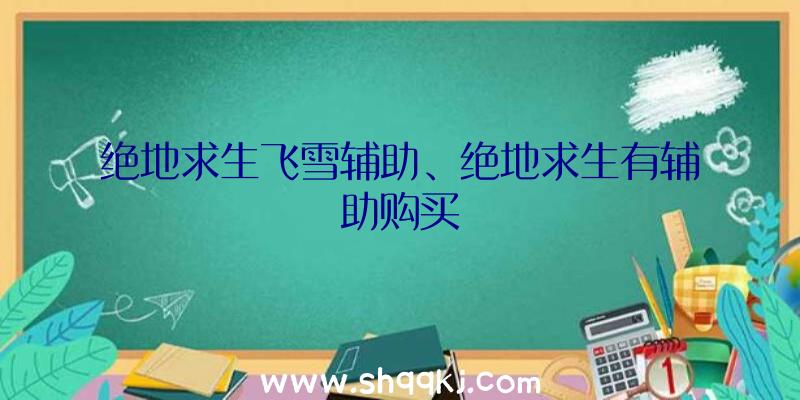 绝地求生飞雪辅助、绝地求生有辅助购买