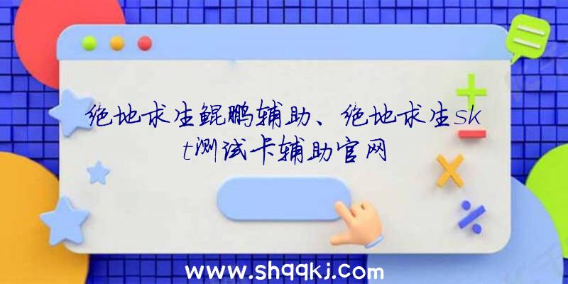 绝地求生鲲鹏辅助、绝地求生skt测试卡辅助官网