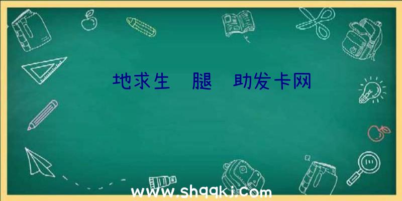 绝地求生鸡腿辅助发卡网