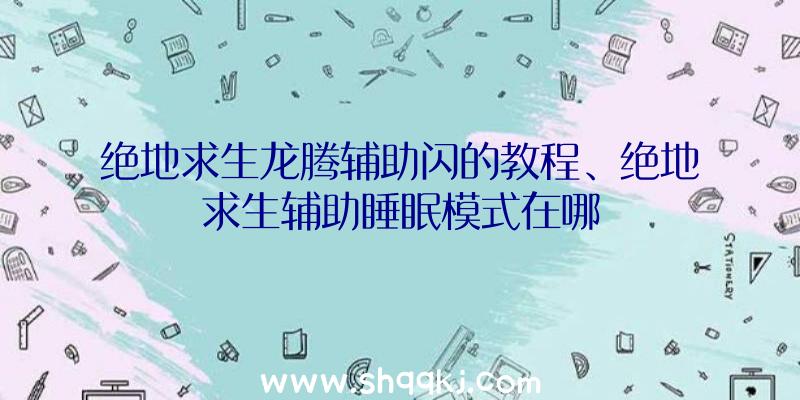 绝地求生龙腾辅助闪的教程、绝地求生辅助睡眠模式在哪