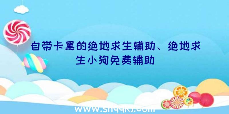 自带卡黑的绝地求生辅助、绝地求生小狗免费辅助