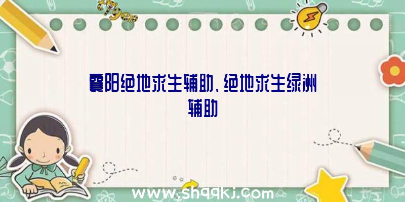 襄阳绝地求生辅助、绝地求生绿洲辅助