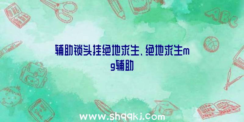 辅助锁头挂绝地求生、绝地求生mg辅助