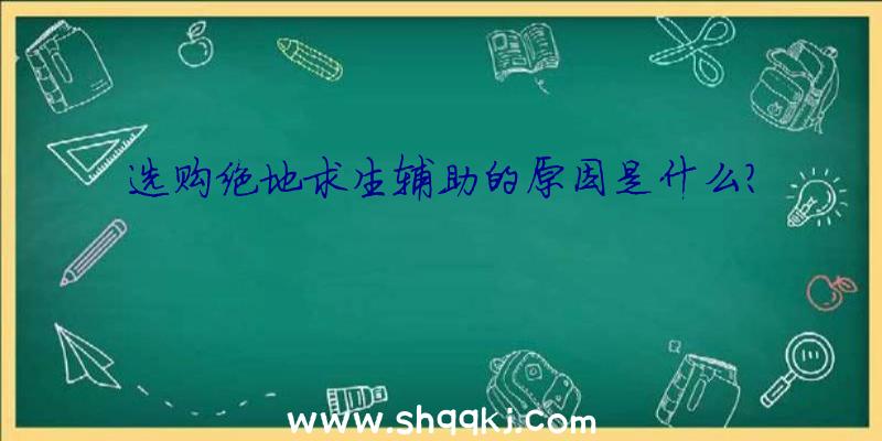 选购绝地求生辅助的原因是什么？