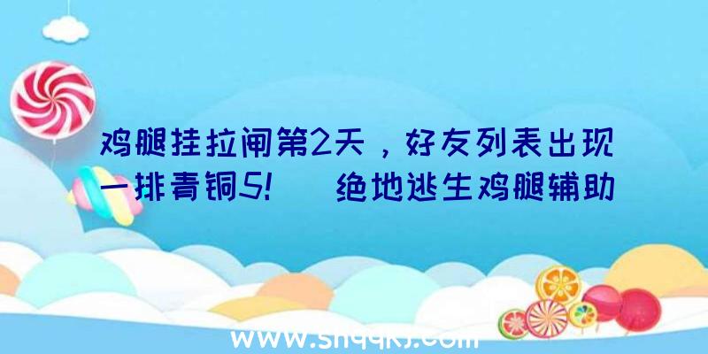 鸡腿挂拉闸第2天，好友列表出现一排青铜5！（绝地逃生鸡腿辅助断电第二天,游戏玩家呈现朋友目录,一整排线下）