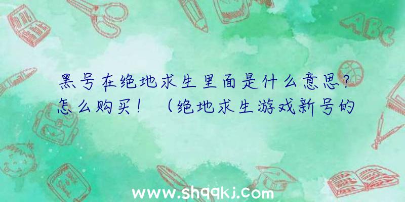 黑号在绝地求生里面是什么意思？怎么购买！（绝地求生游戏新号的种类和什么时候该选购什么账户）