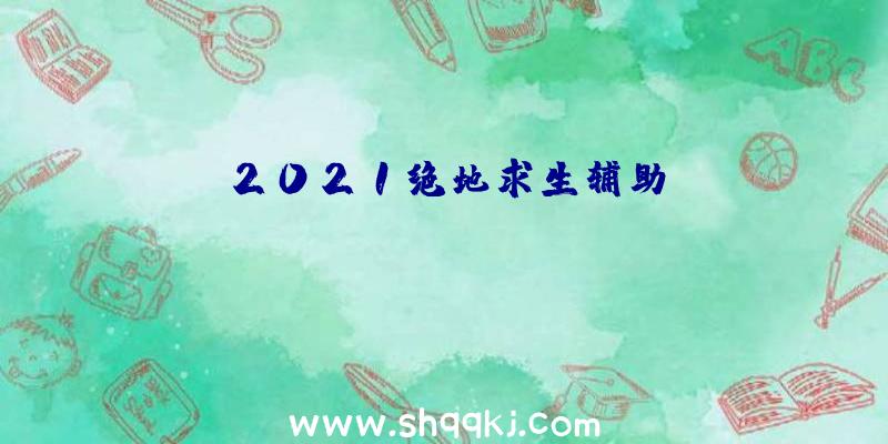 2021绝地求生辅助