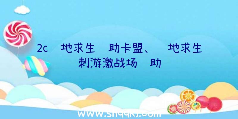 2c绝地求生辅助卡盟、绝地求生刺游激战场辅助