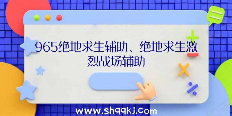 965绝地求生辅助、绝地求生激烈战场辅助