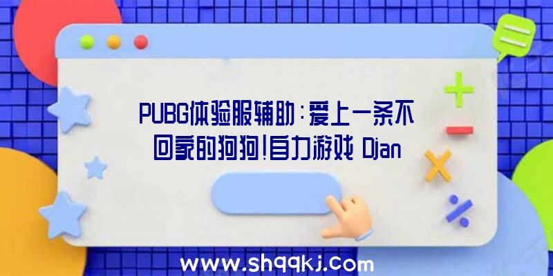 PUBG体验服辅助：爱上一条不回家的狗狗！自力游戏《Django》上岸Steam