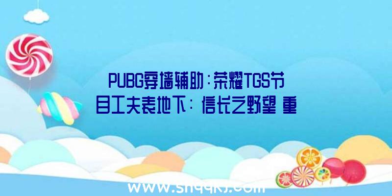 PUBG穿墙辅助：荣耀TGS节目工夫表地下：《信长之野望･重生》、《零：濡鸦之巫女》等表态