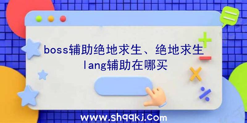 boss辅助绝地求生、绝地求生lang辅助在哪买