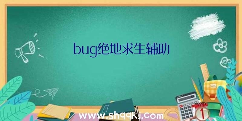 bug绝地求生辅助