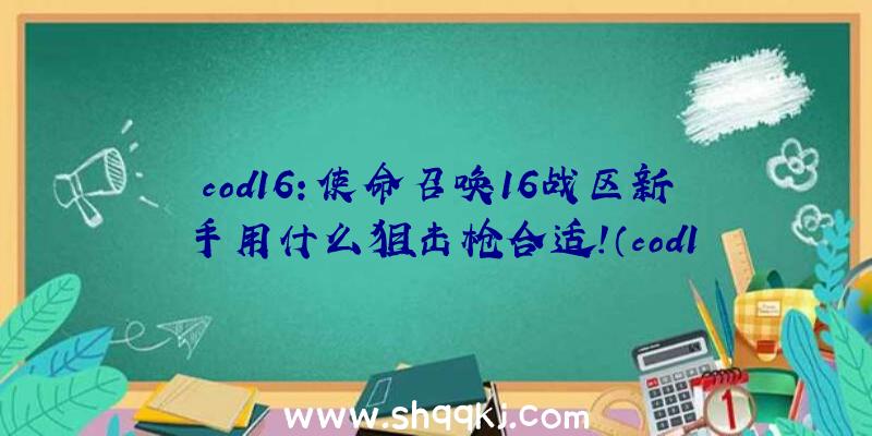 cod16：使命召唤16战区新手用什么狙击枪合适！（cod1616战区初学者合适哪把狙击步枪）