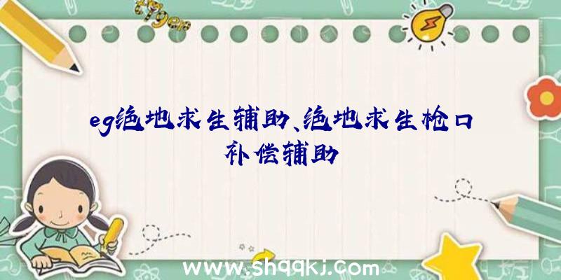 eg绝地求生辅助、绝地求生枪口补偿辅助