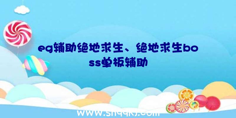 eg辅助绝地求生、绝地求生boss单板辅助