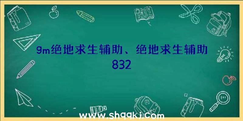 gm绝地求生辅助、绝地求生辅助832