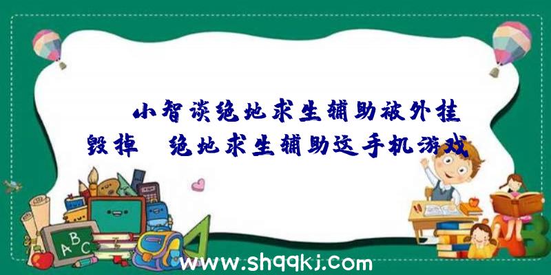 lol小智谈绝地求生辅助被外挂毁掉！（绝地求生辅助这手机游戏怎样？）