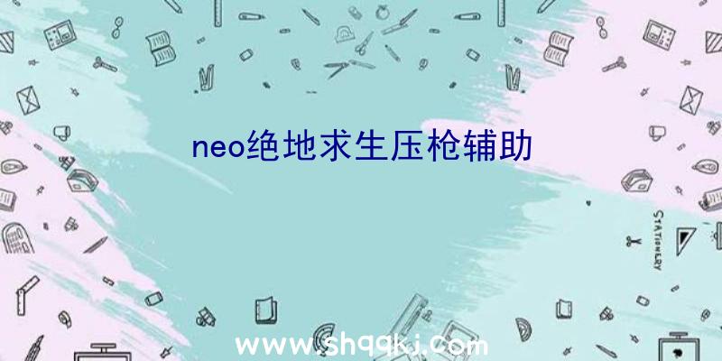 neo绝地求生压枪辅助