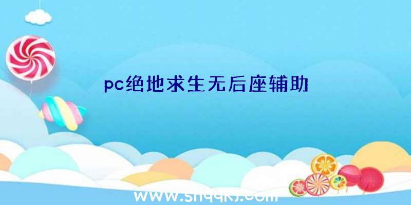 pc绝地求生无后座辅助