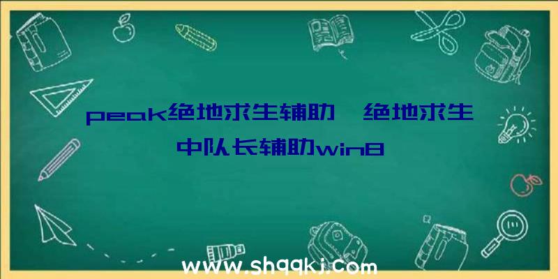 peak绝地求生辅助、绝地求生中队长辅助win8