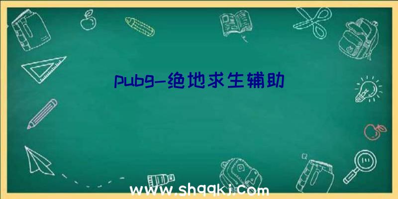 pubg-绝地求生辅助