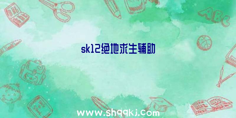 sk12绝地求生辅助