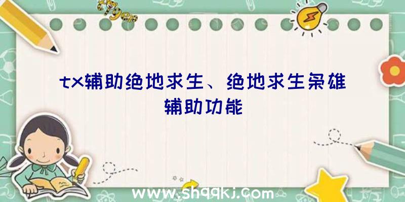 tx辅助绝地求生、绝地求生枭雄辅助功能