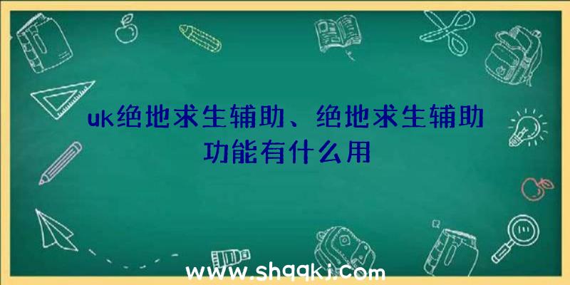 uk绝地求生辅助、绝地求生辅助功能有什么用