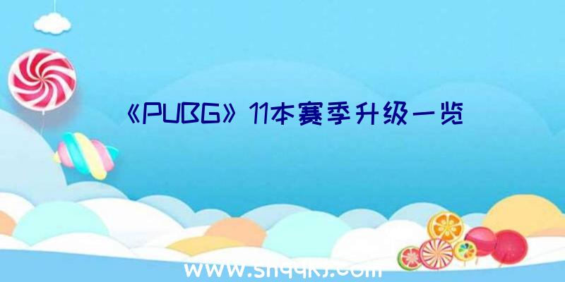 《PUBG》11本赛季升级一览