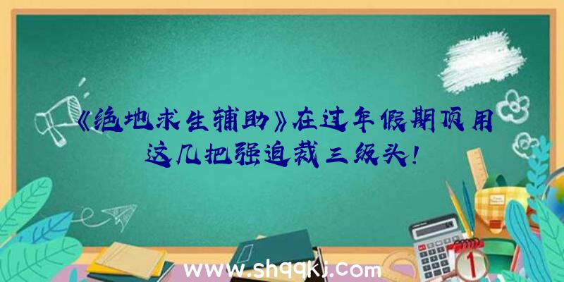 《绝地求生辅助》在过年假期顶用这几把强迫裁三级头！