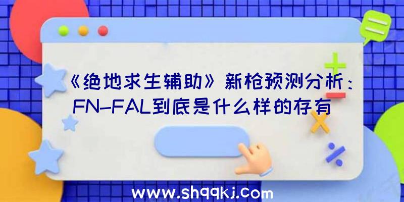 《绝地求生辅助》新枪预测分析：FN-FAL到底是什么样的存有？