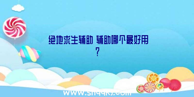 《绝地求生辅助》辅助哪个最好用？