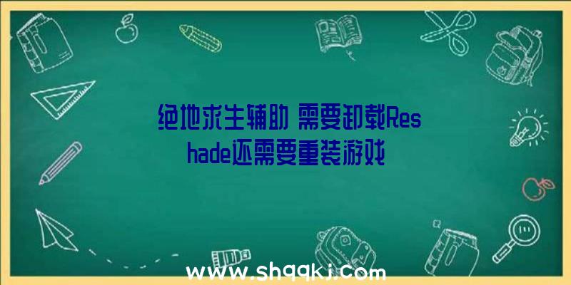 《绝地求生辅助》需要卸载Reshade还需要重装游戏