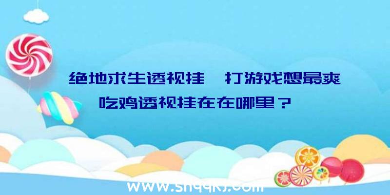 「绝地求生透视挂」打游戏想最爽吃鸡透视挂在在哪里？