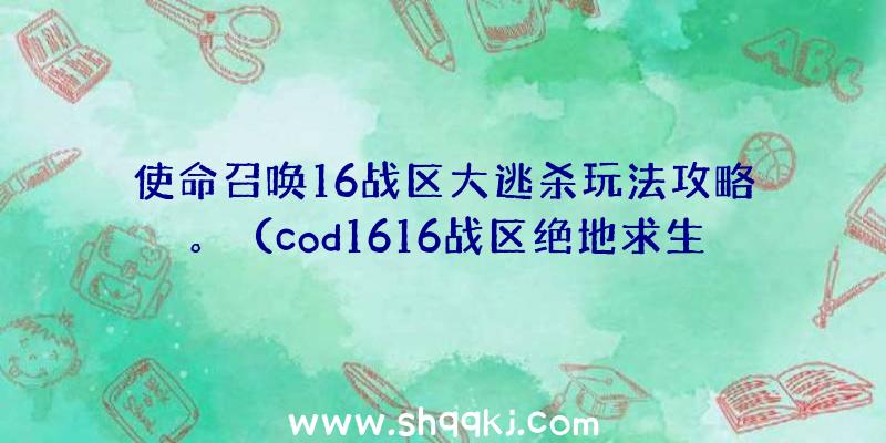 使命召唤16战区大逃杀玩法攻略。（cod1616战区绝地求生游戏玩法攻略大全）