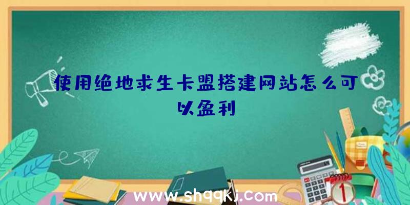 使用绝地求生卡盟搭建网站怎么可以盈利？