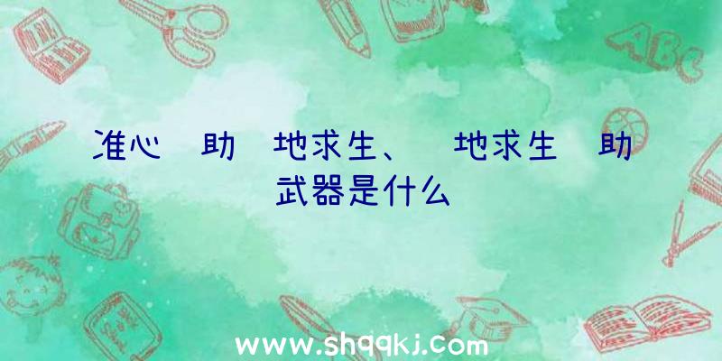 准心辅助绝地求生、绝地求生辅助武器是什么