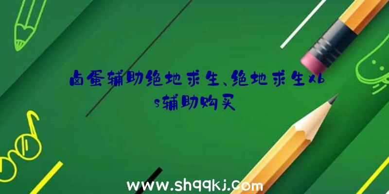 卤蛋辅助绝地求生、绝地求生xbs辅助购买