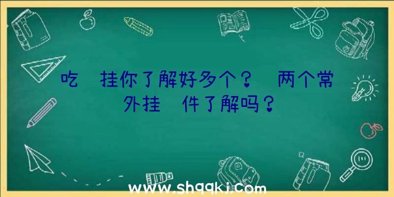 吃鸡挂你了解好多个？这两个常见外挂软件了解吗？