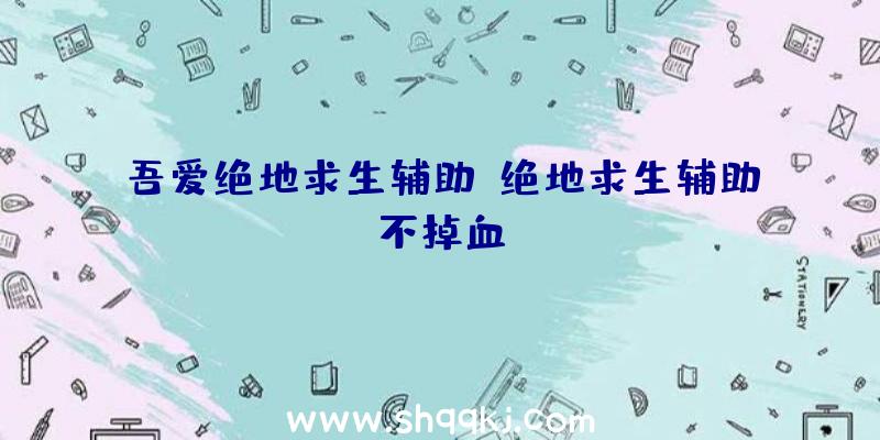 吾爱绝地求生辅助、绝地求生辅助不掉血