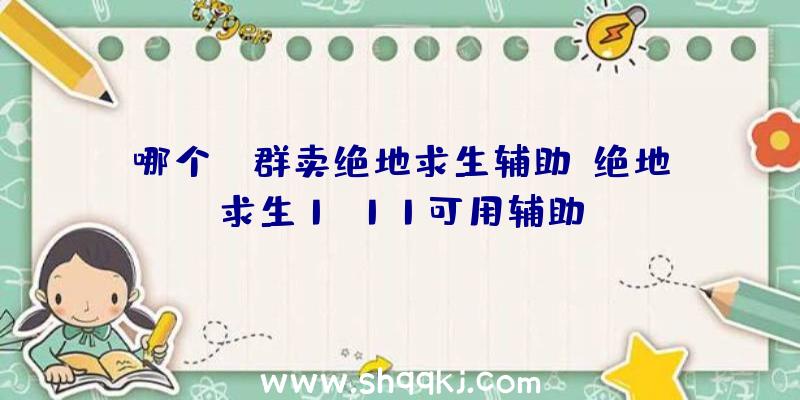 哪个QQ群卖绝地求生辅助、绝地求生1.11可用辅助