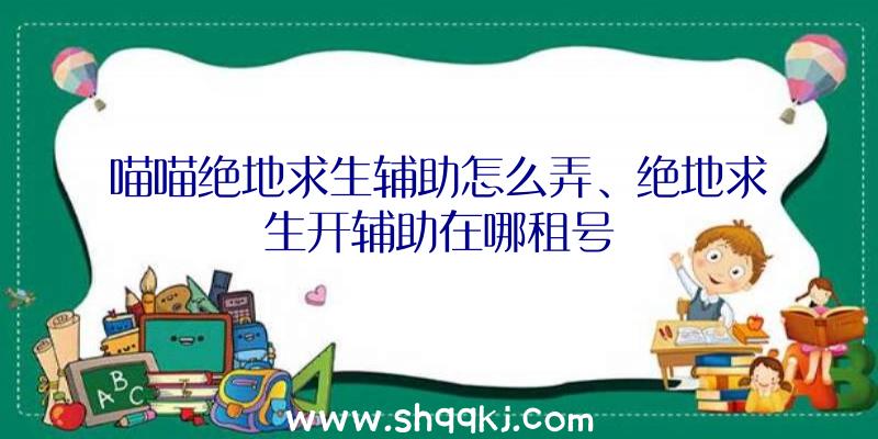 喵喵绝地求生辅助怎么弄、绝地求生开辅助在哪租号