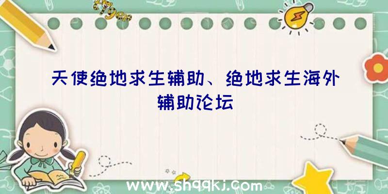 天使绝地求生辅助、绝地求生海外辅助论坛